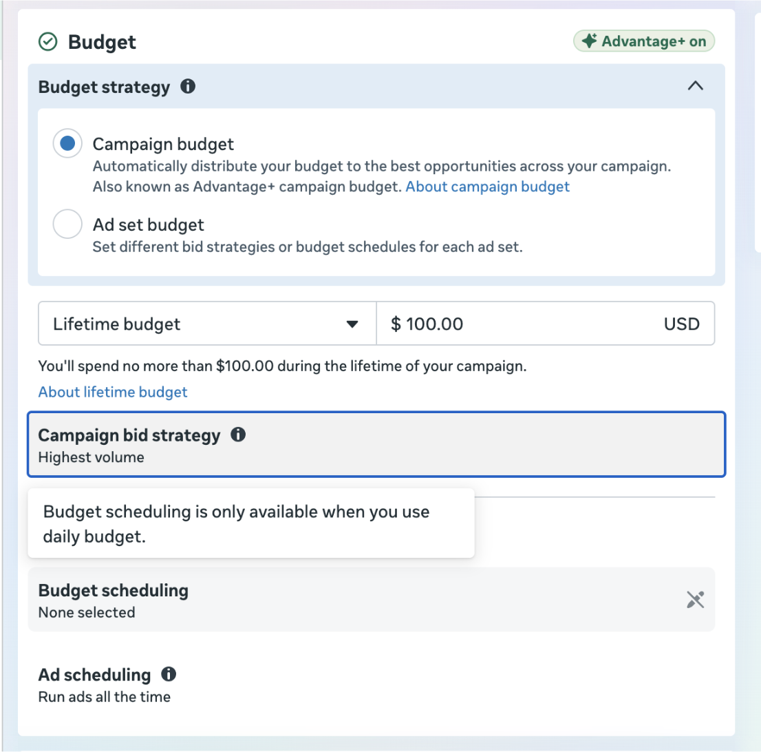 Budget strategy screen: campaign budget vs ad set budget, lifetime budget of $100, highest volume bid strategy